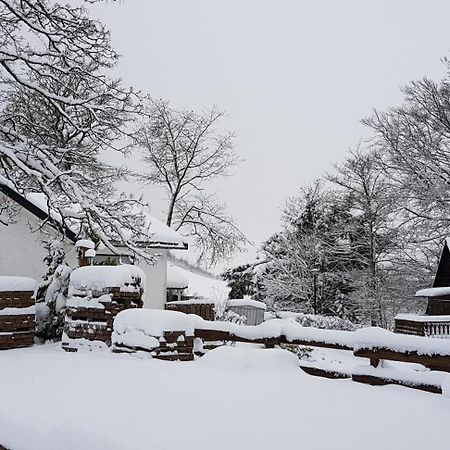 Villa Winterberg Mollseifen エクステリア 写真