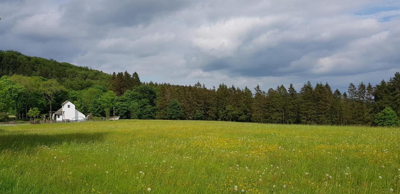 Villa Winterberg Mollseifen エクステリア 写真